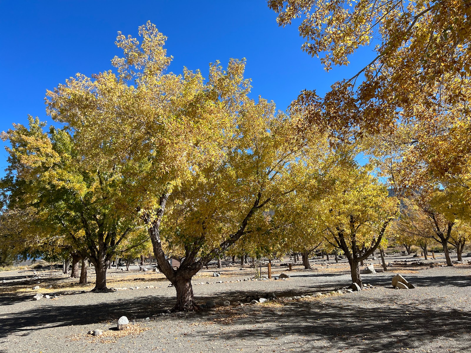 Grant Lake Marina Campground