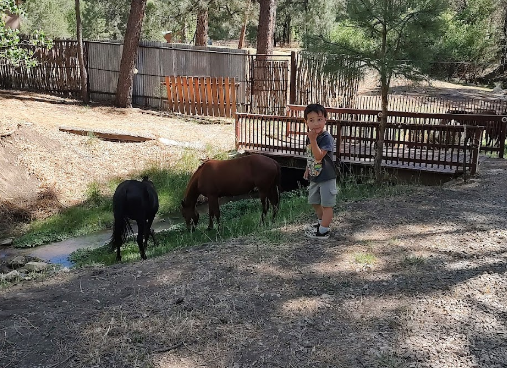 Rainbow Lake RV Park