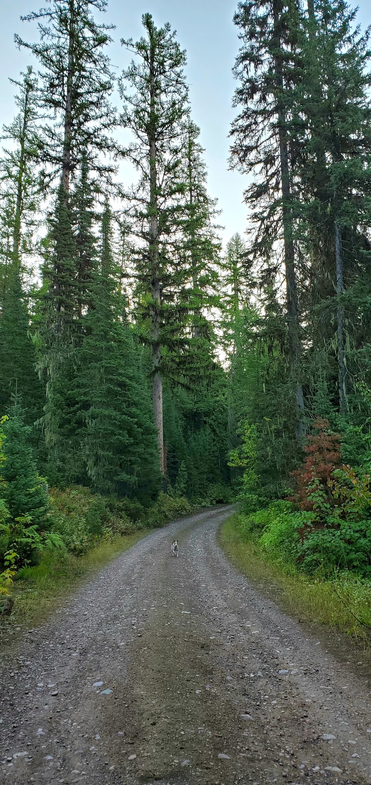 Devils Corkscrew Campground