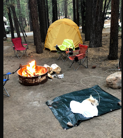 New Shady Rest Campground