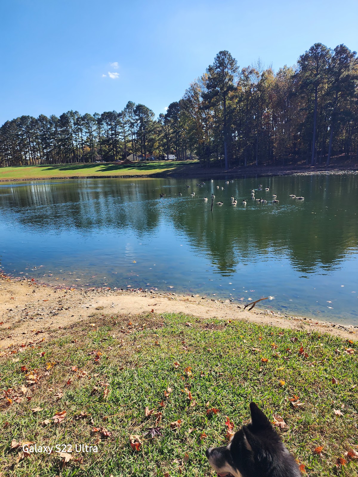 Amelia Family Campground