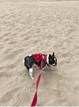 Medcalf Acres Campsite