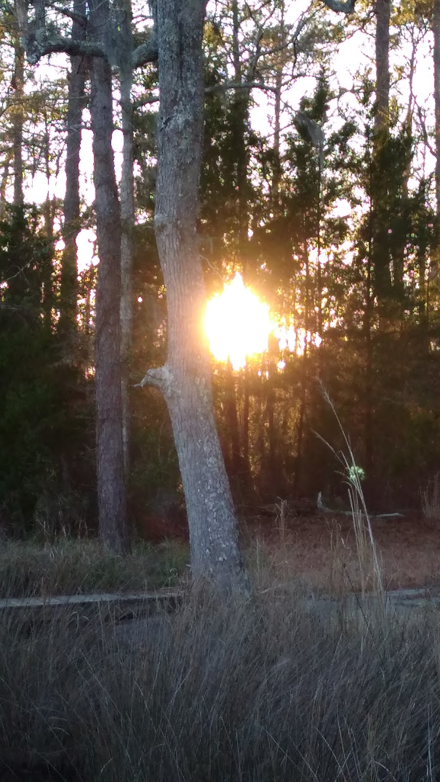 Paul's Park & Boat Ramp