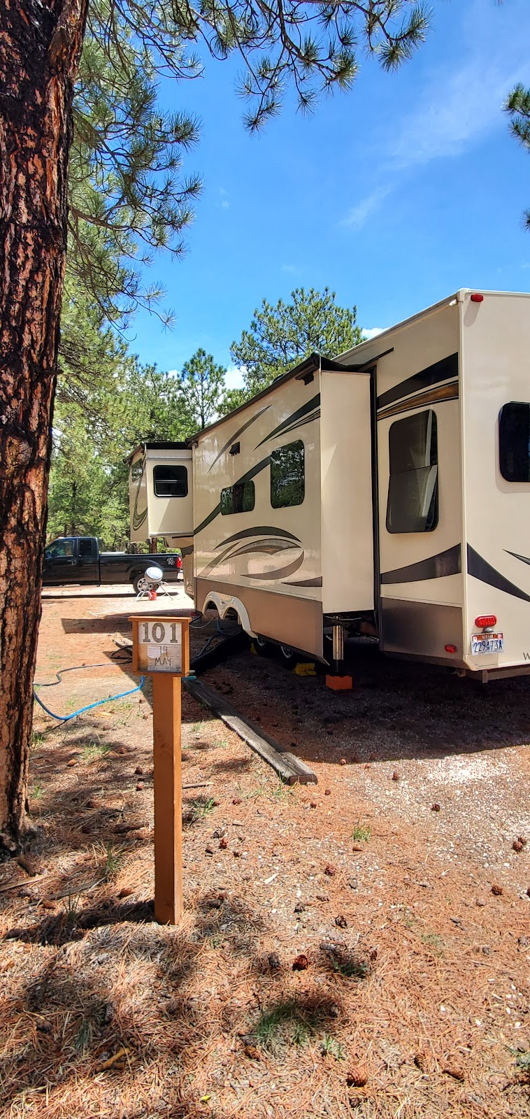 Peregrine Pines FamCamp