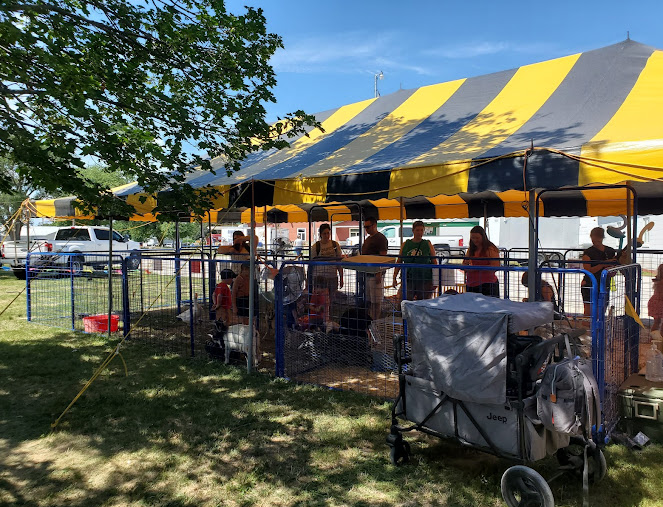 Madison County Fairgrounds Campground