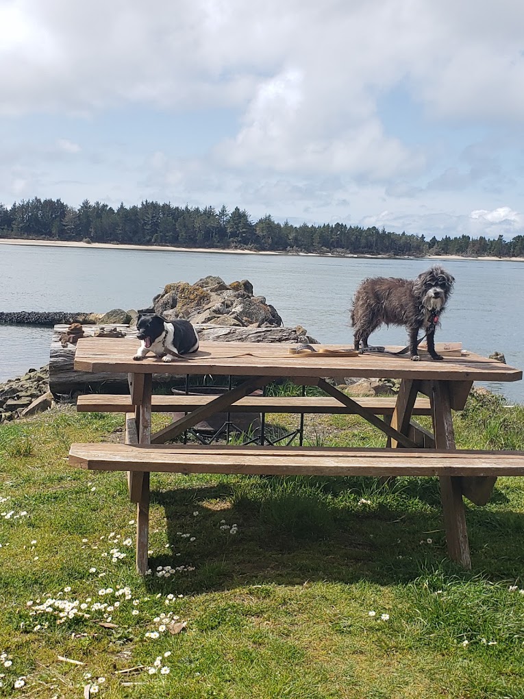 Kelly's Brighton Marina