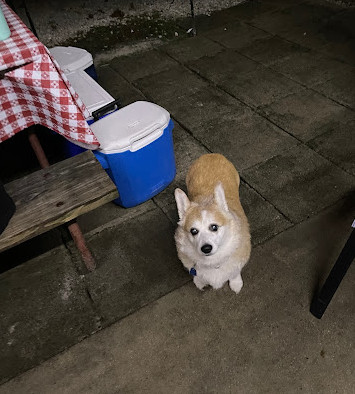 Robin Hood Woods Campground and Resort