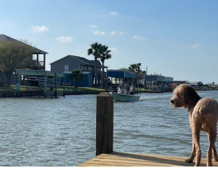 Travelers Paradise RV Park