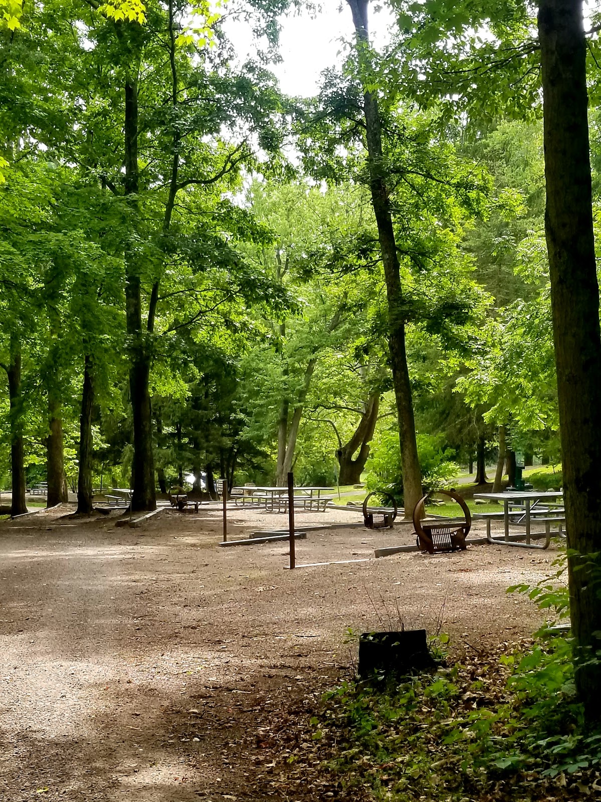 Mill Run Recreation Area