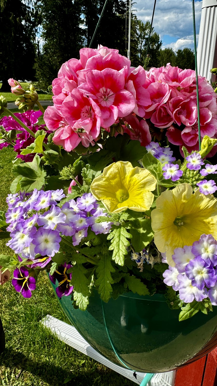 Spruce Park on the River