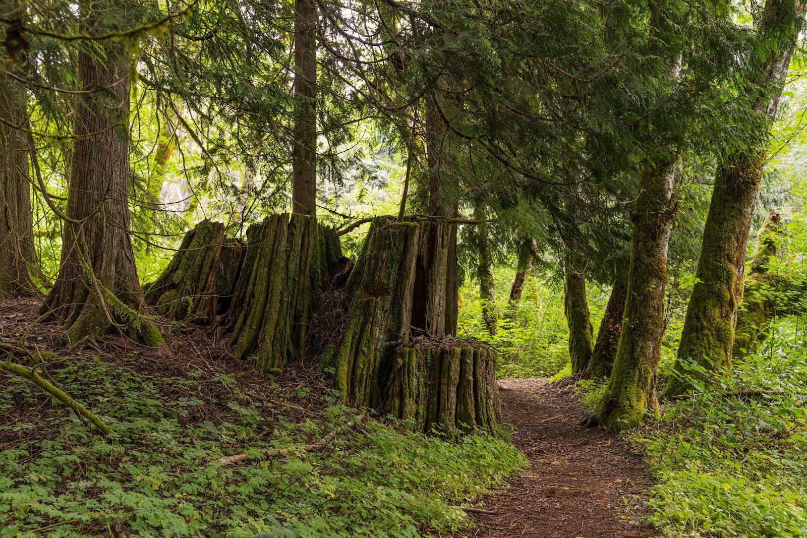 Eastcreek Campground
