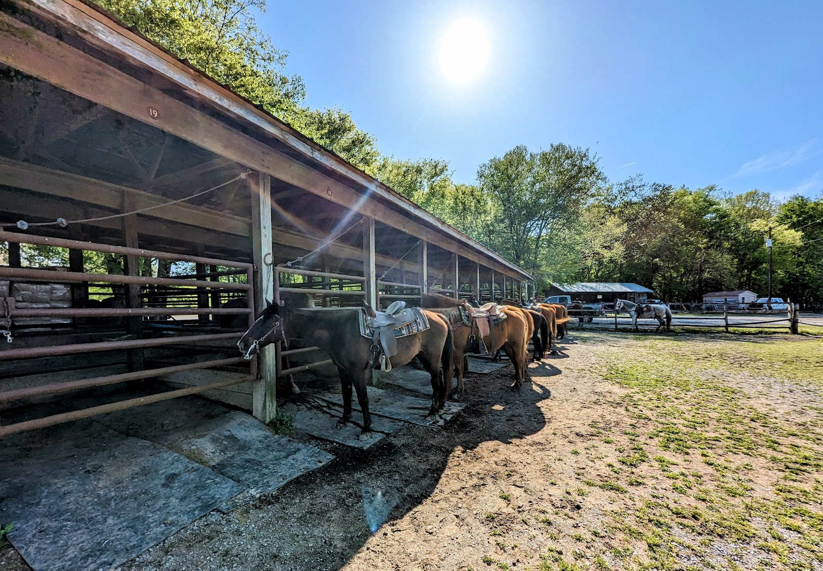 Wranglers Horse Campground
