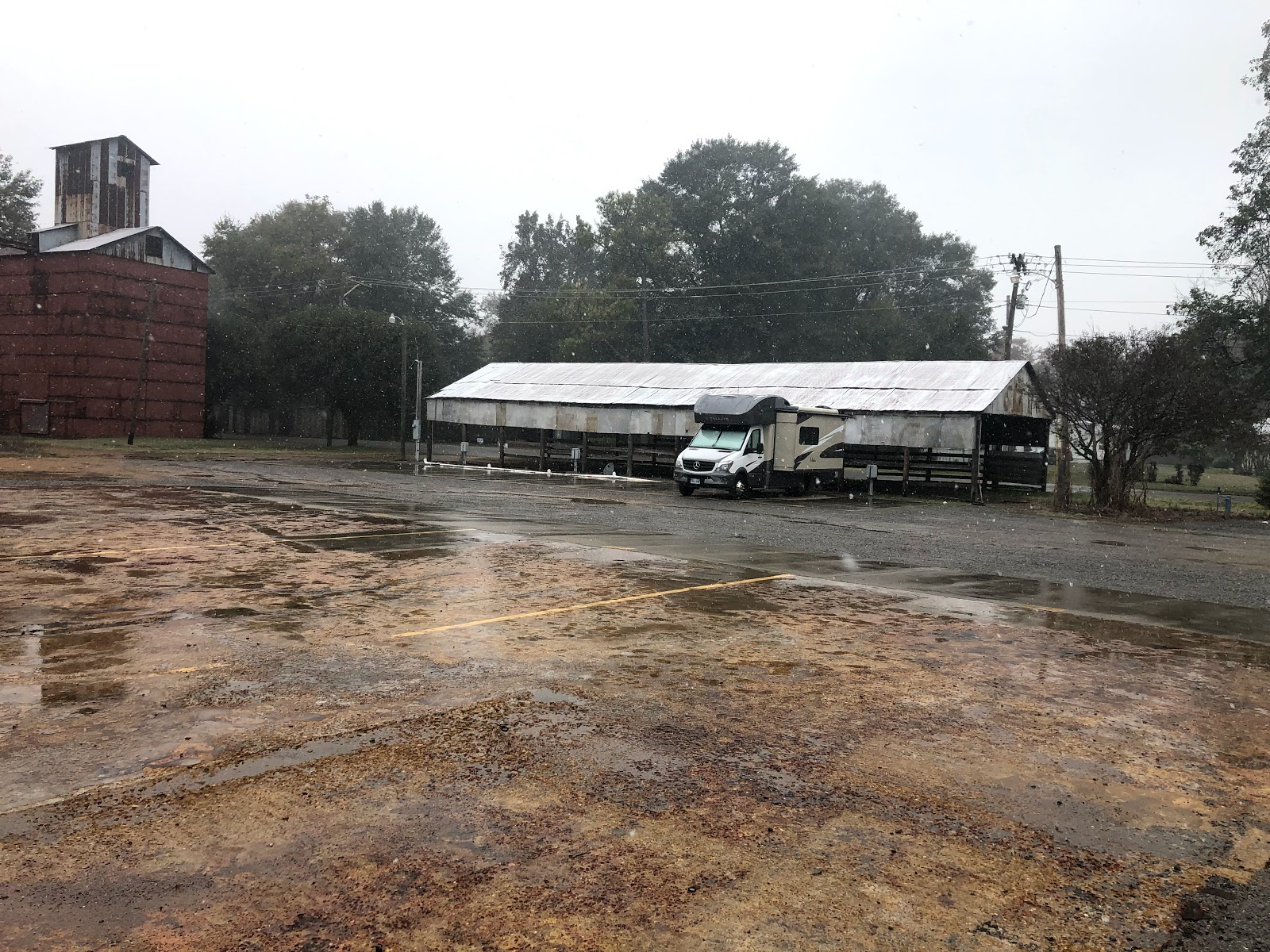 Willie's Last Resort