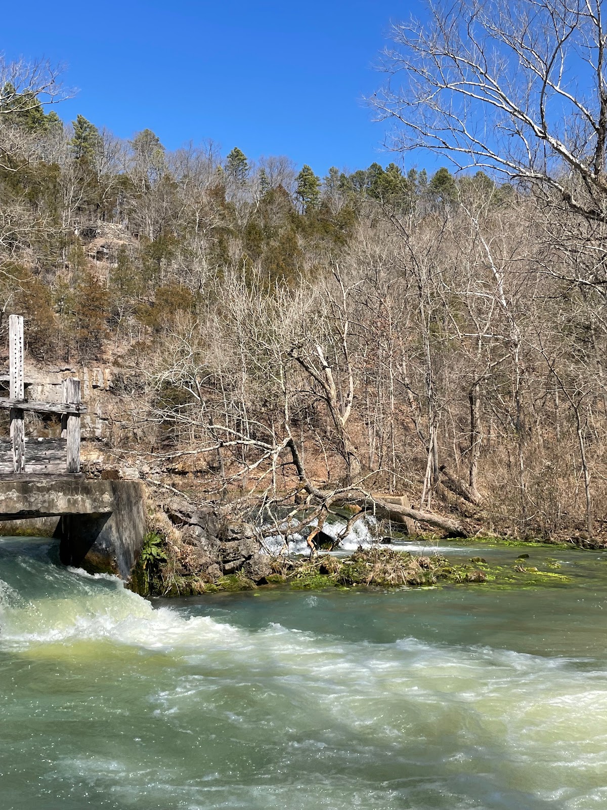 Alley Spring Campground