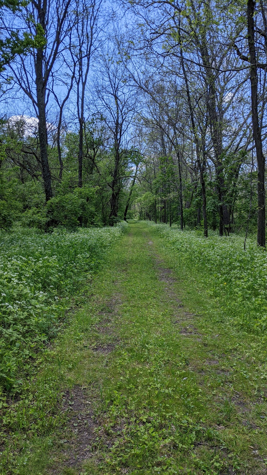 Jacoby Road Canoe Launch
