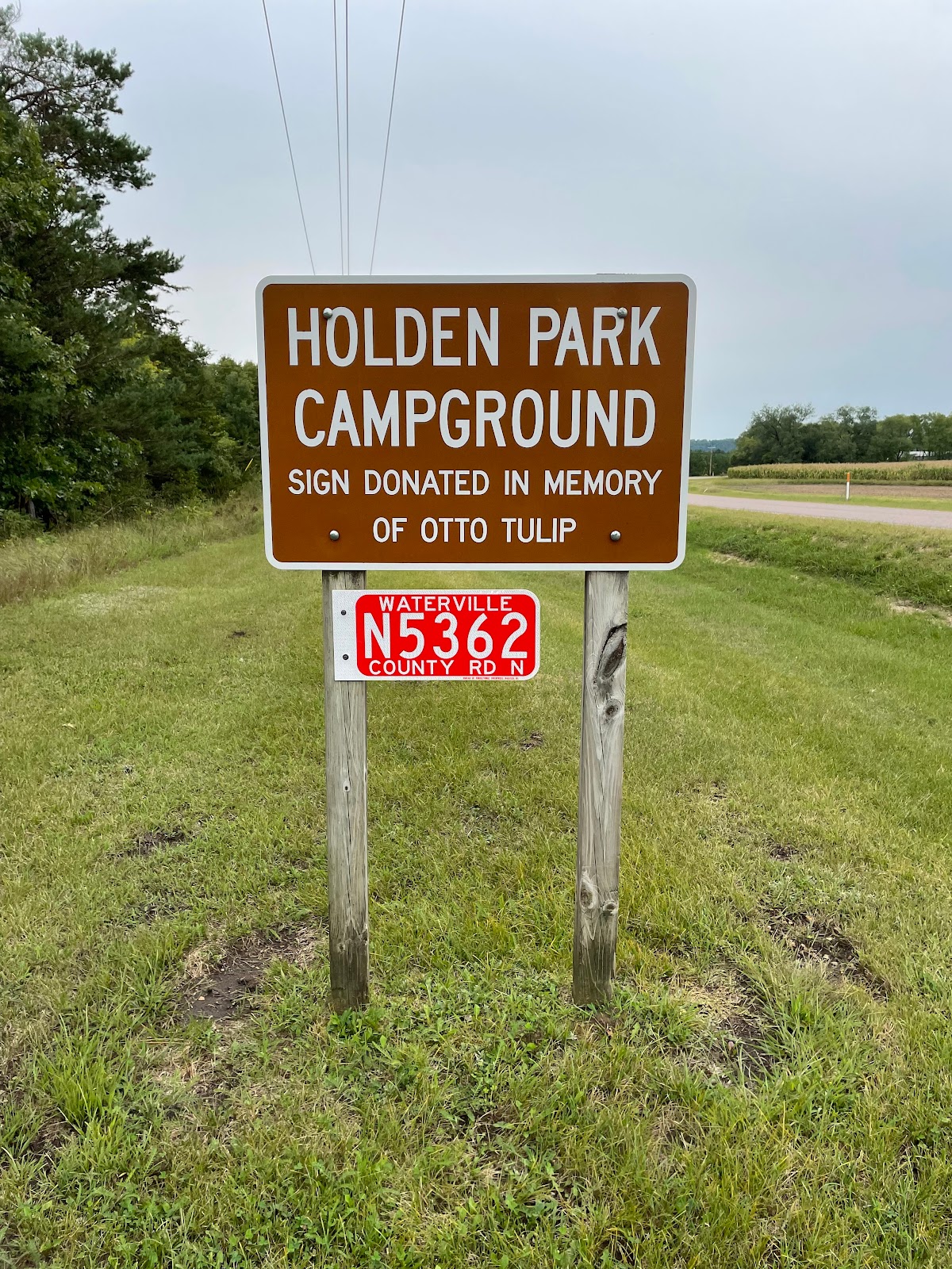 Holden Silver Birch County Park