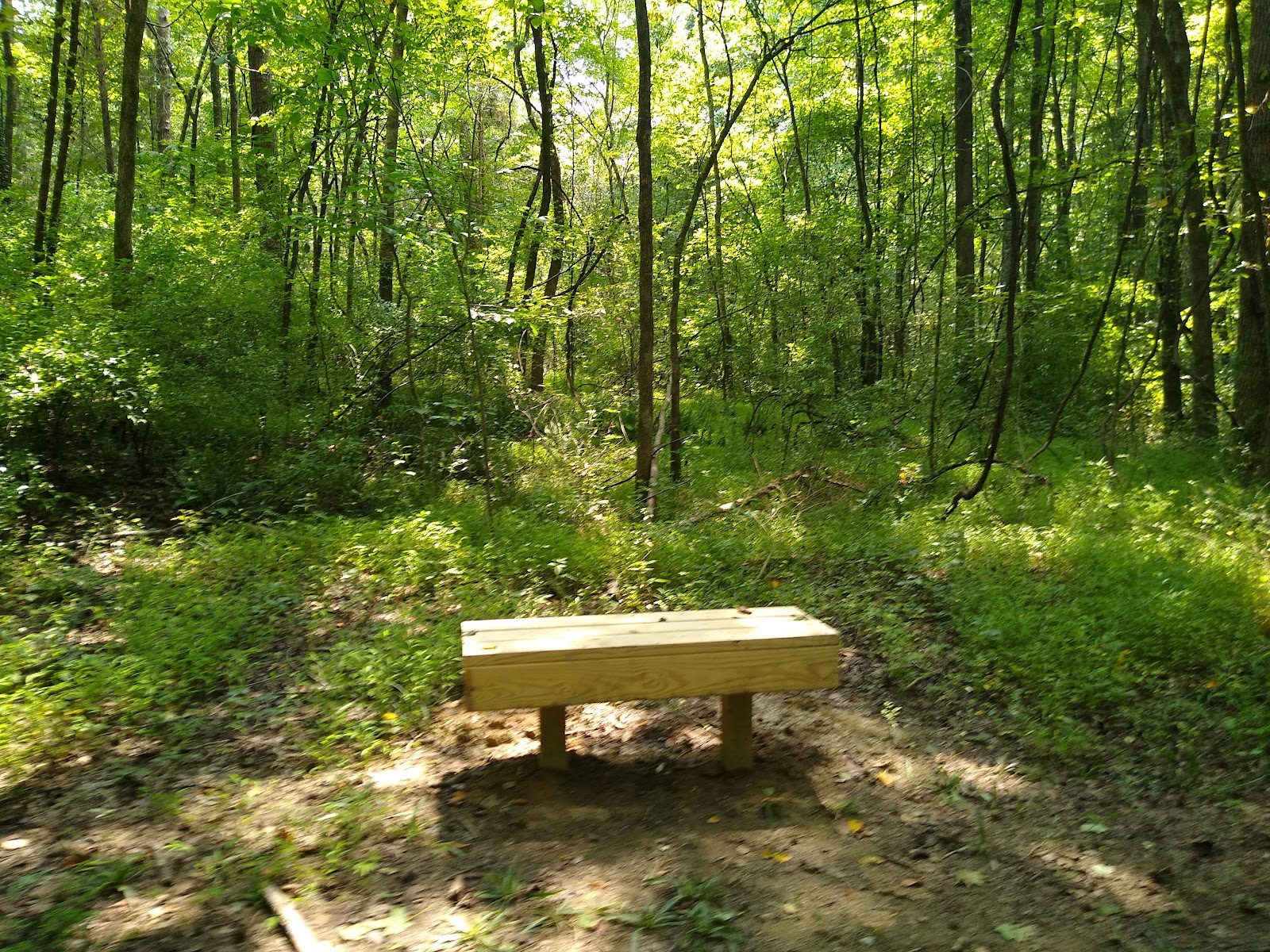 Hagan-Stone Park