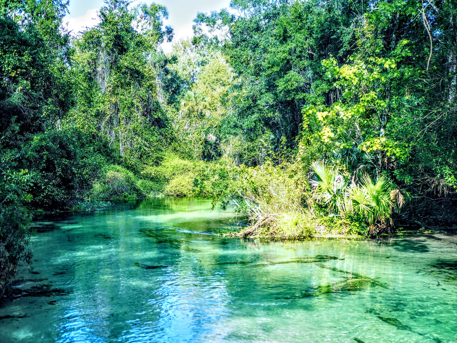 Kelly Park / Rock Springs