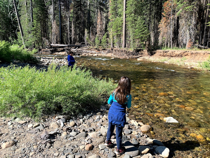 Clark Fork Campground