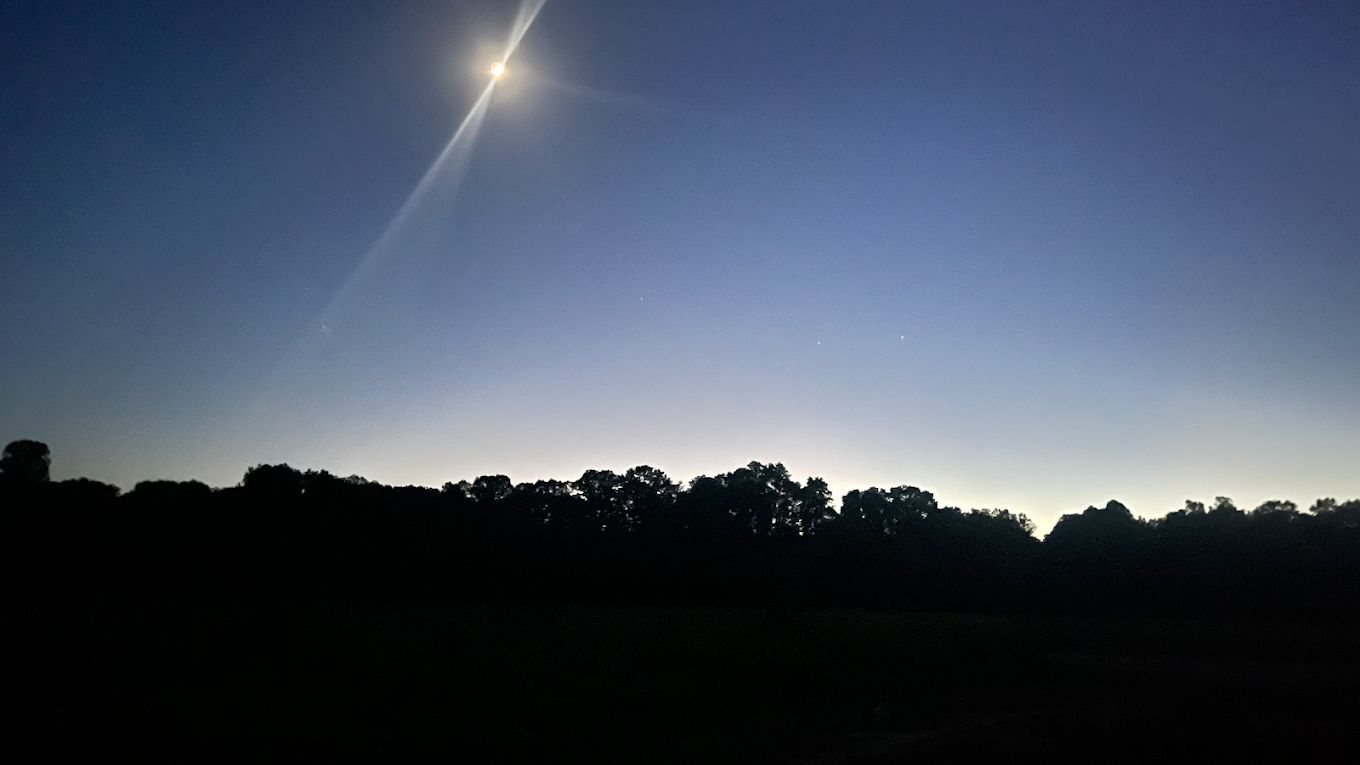 Into the Woods RV Park & Campground