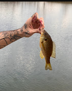 Kickapoo State Recreation Area