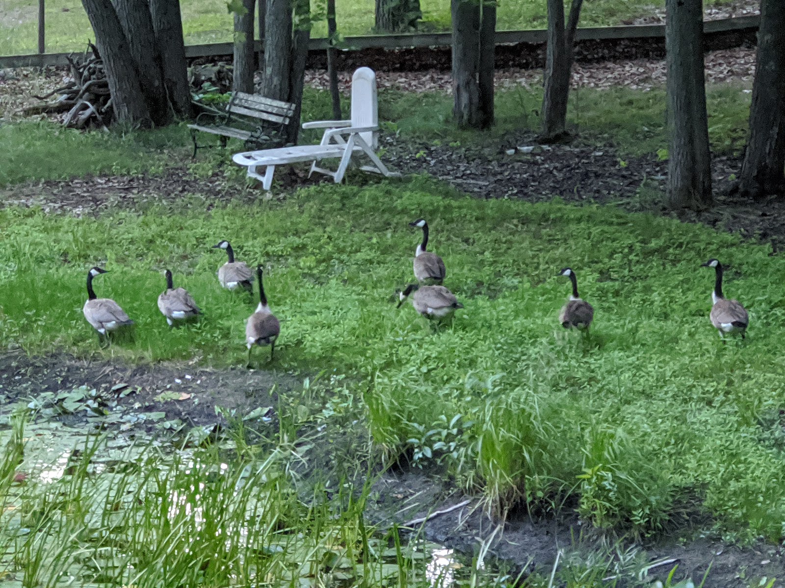 Round Lake Campground
