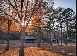 Firefly Cabins at Lobo Landing