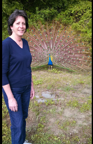 Adventure Bound Campground