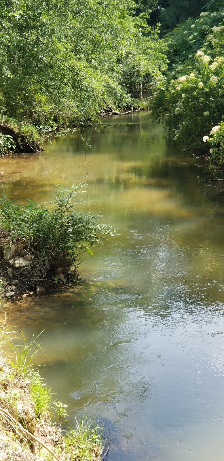 Silver Creek Campground, Inc.