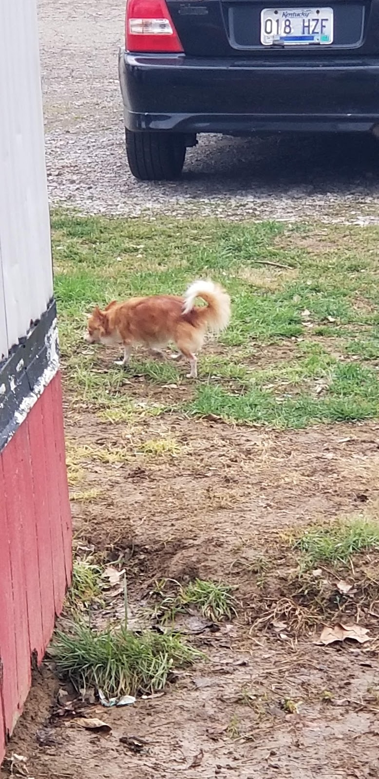 Homestead/Yarwood MHP