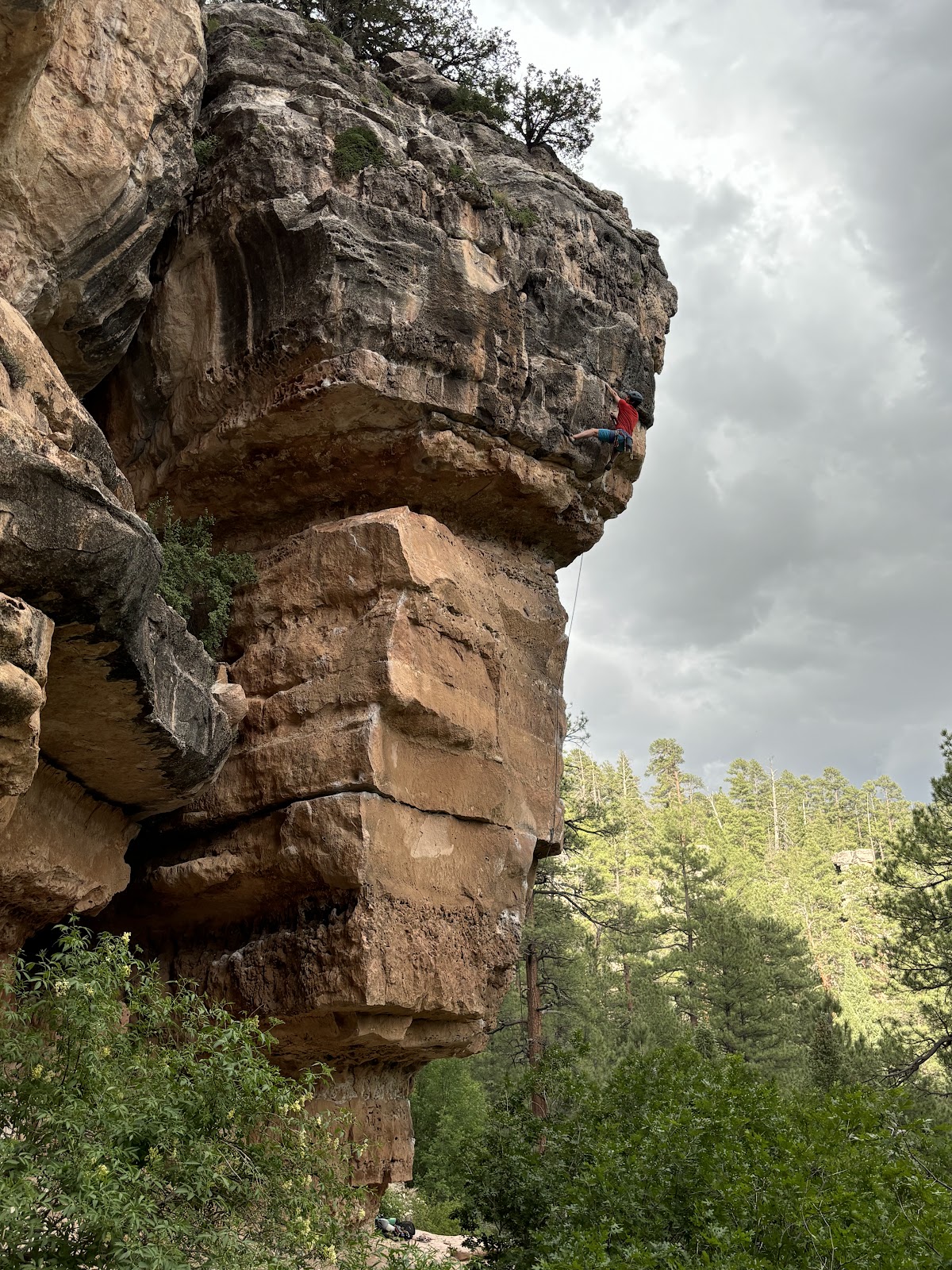 Canyon Vista Campground