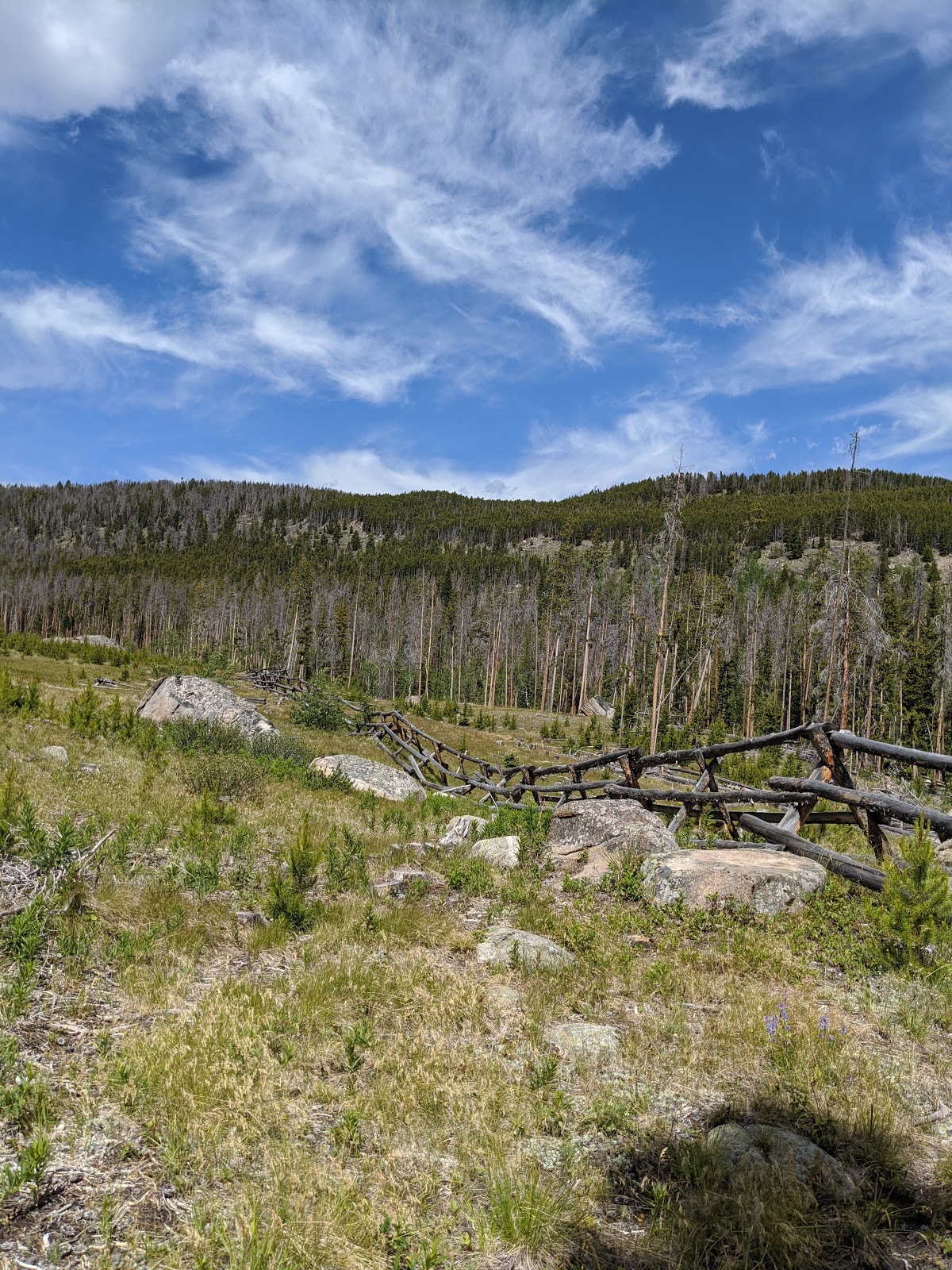 Dinner Station Campground