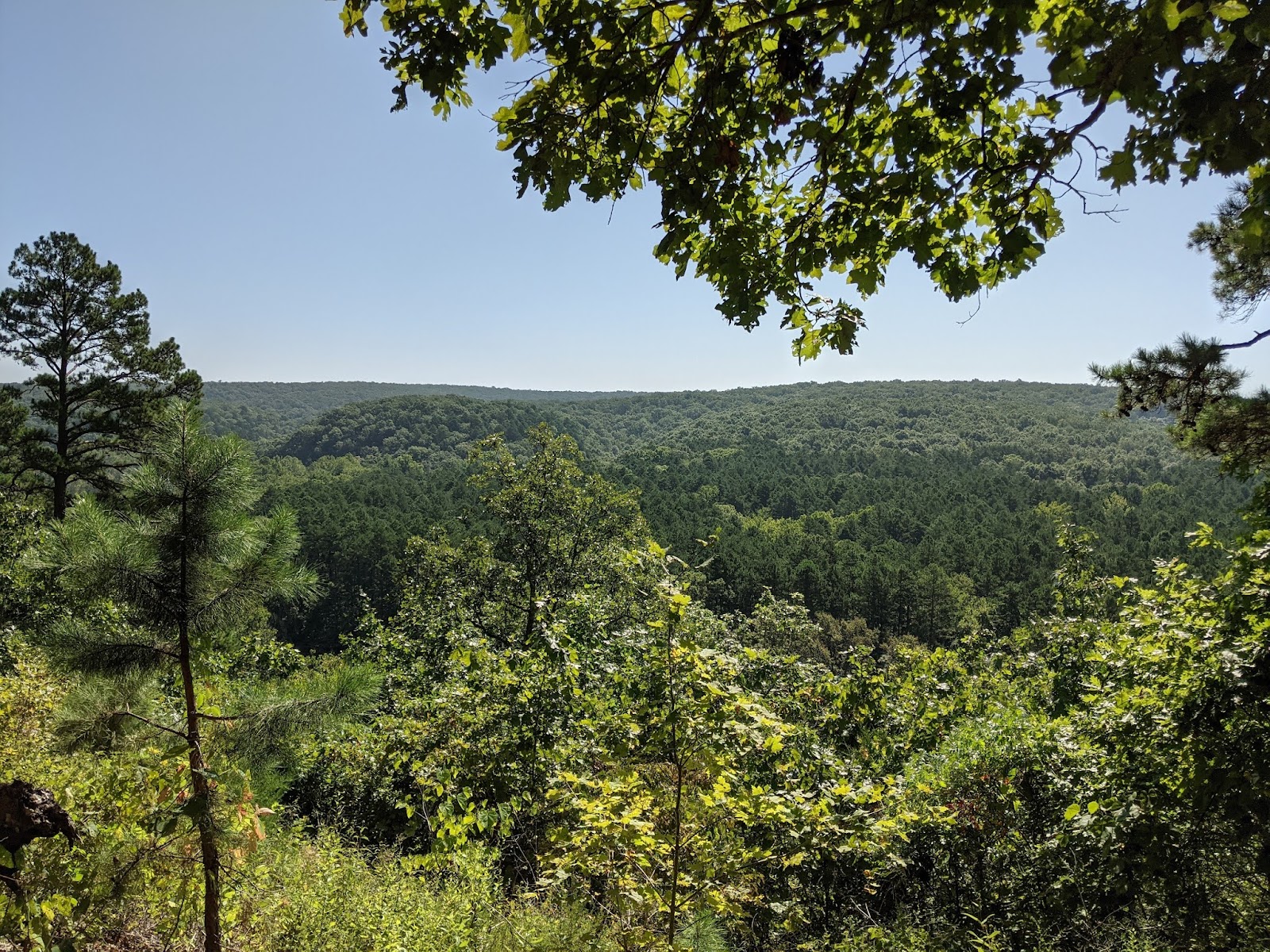Red Bluff Campground