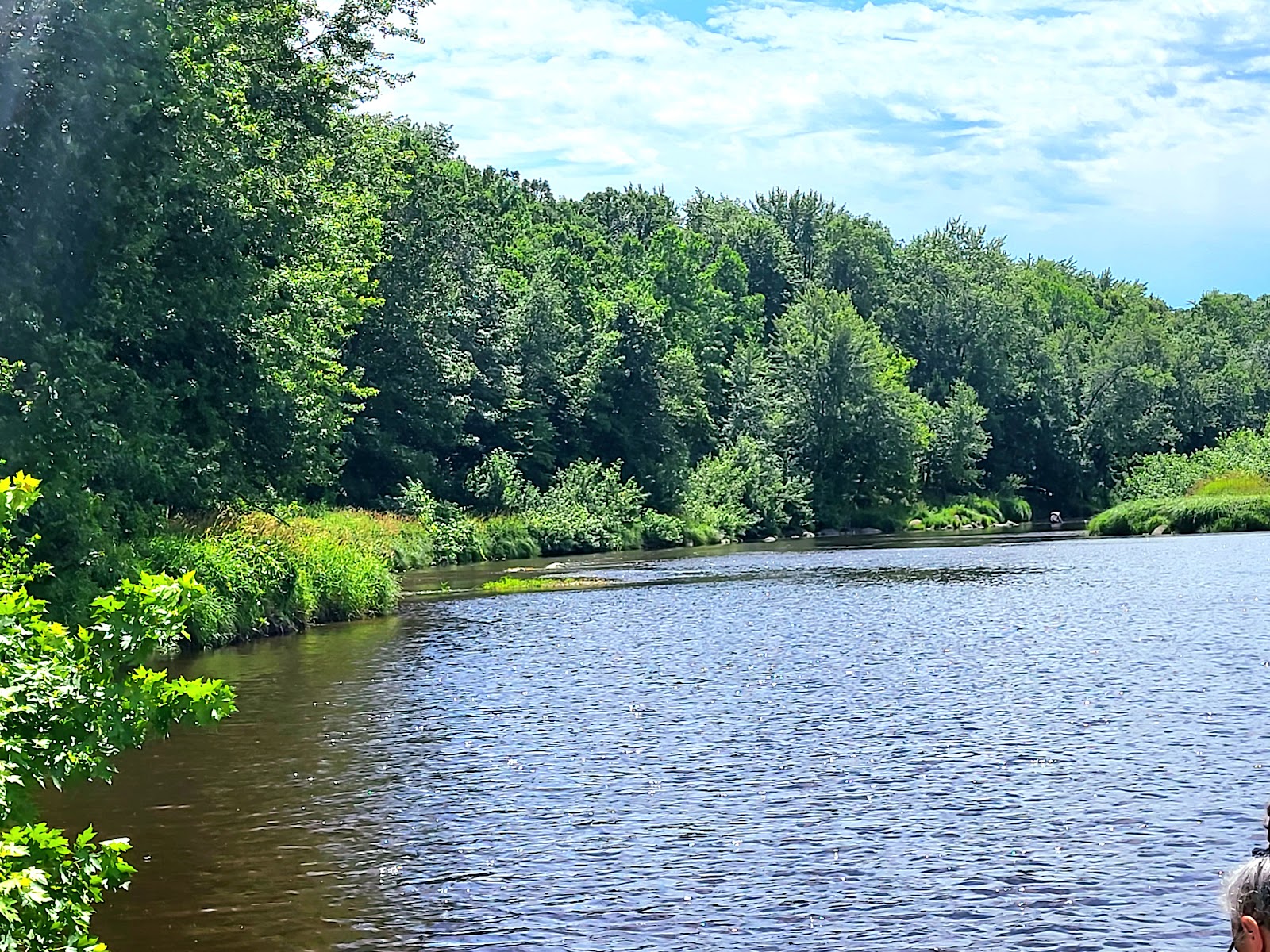 Greenwood County Park & Campground