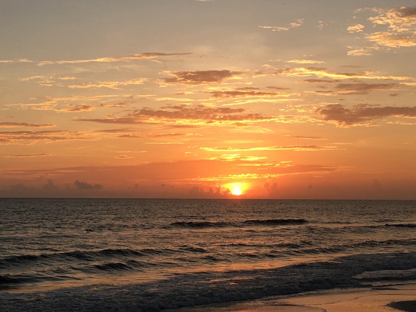 El Governor Beach Resort & RV Park