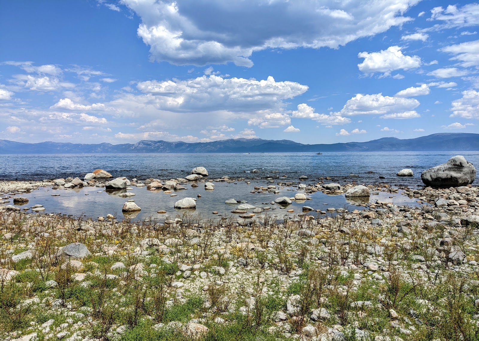 Ed Zberg Sugar Pine Point State Park