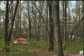 Redding NF Campground