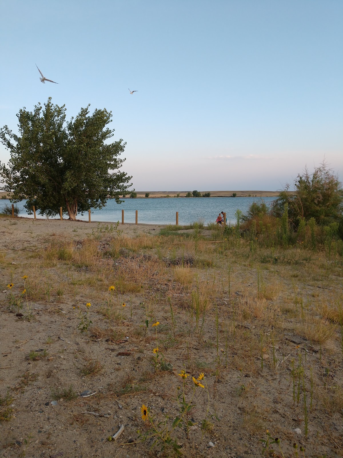 Tough Creek - Boysen State Park