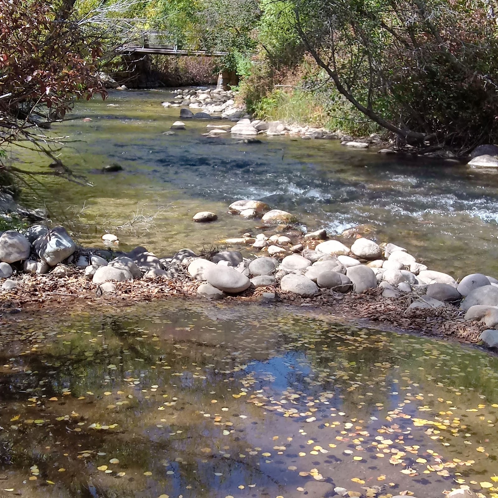 South Fork Campground