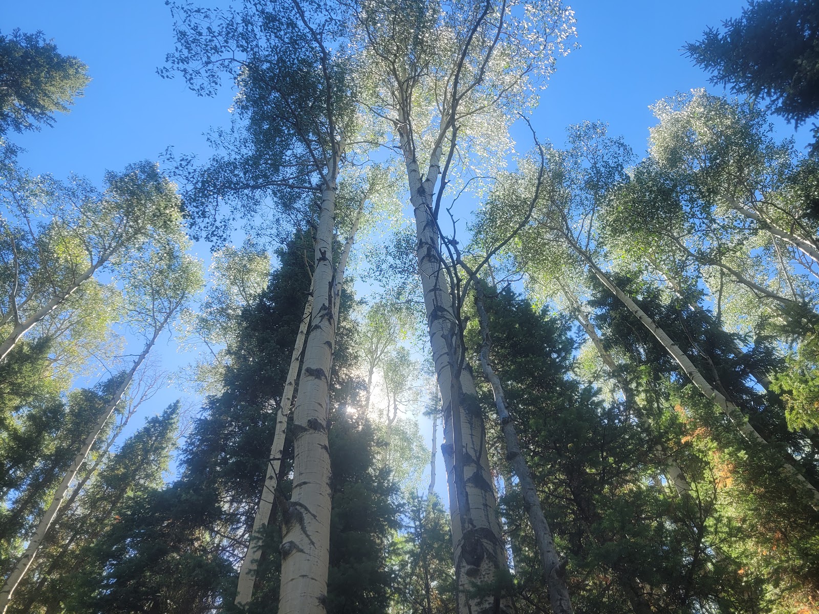 Sig Creek Campground