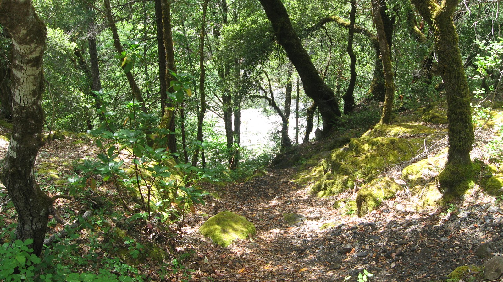 Dillon Creek Campground