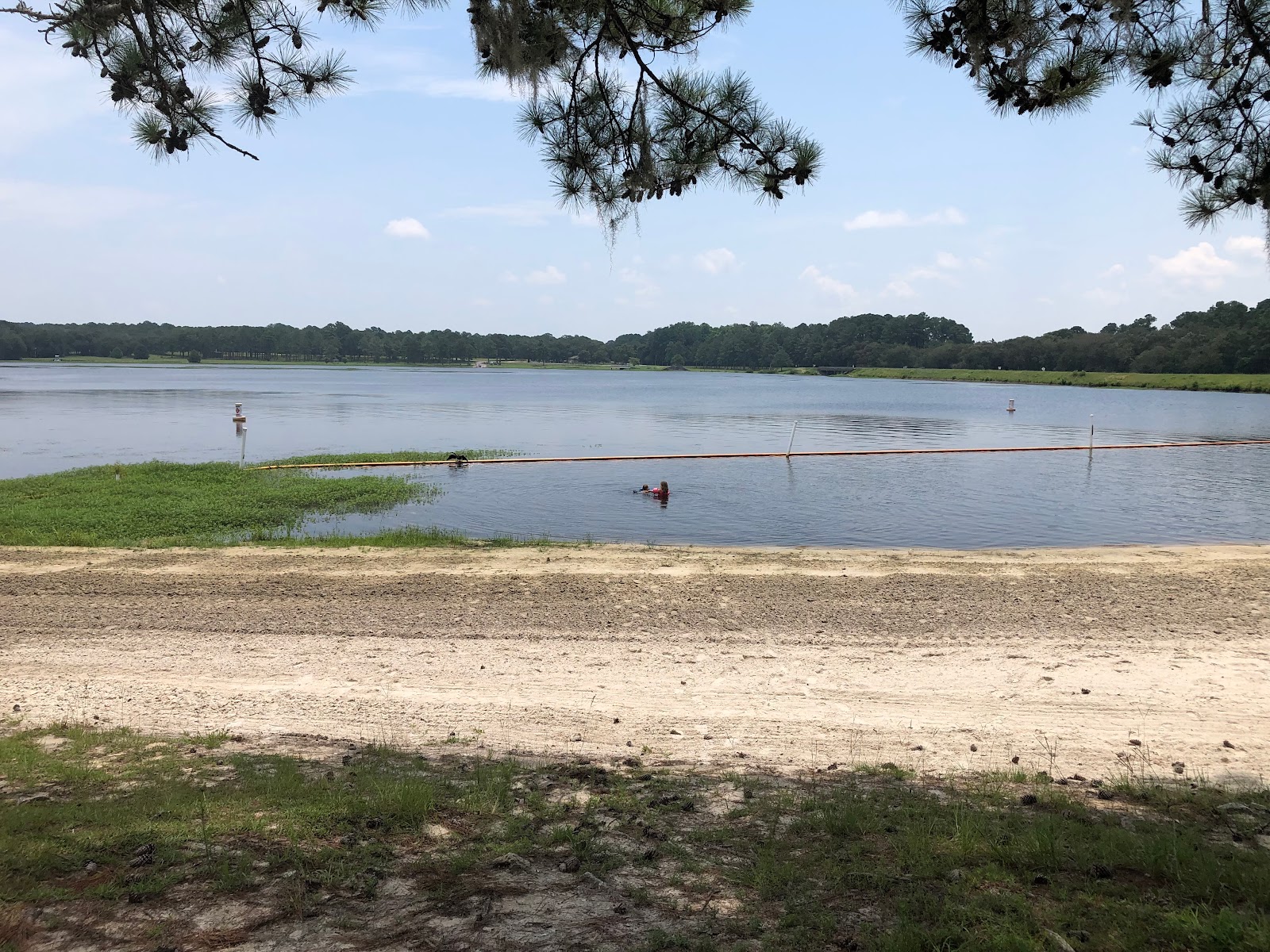 Reed Bingham State Park