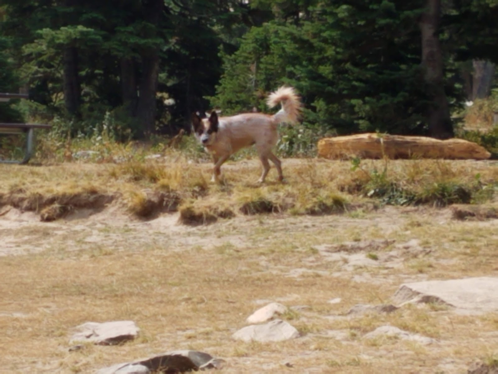 Howell Canyon Campground