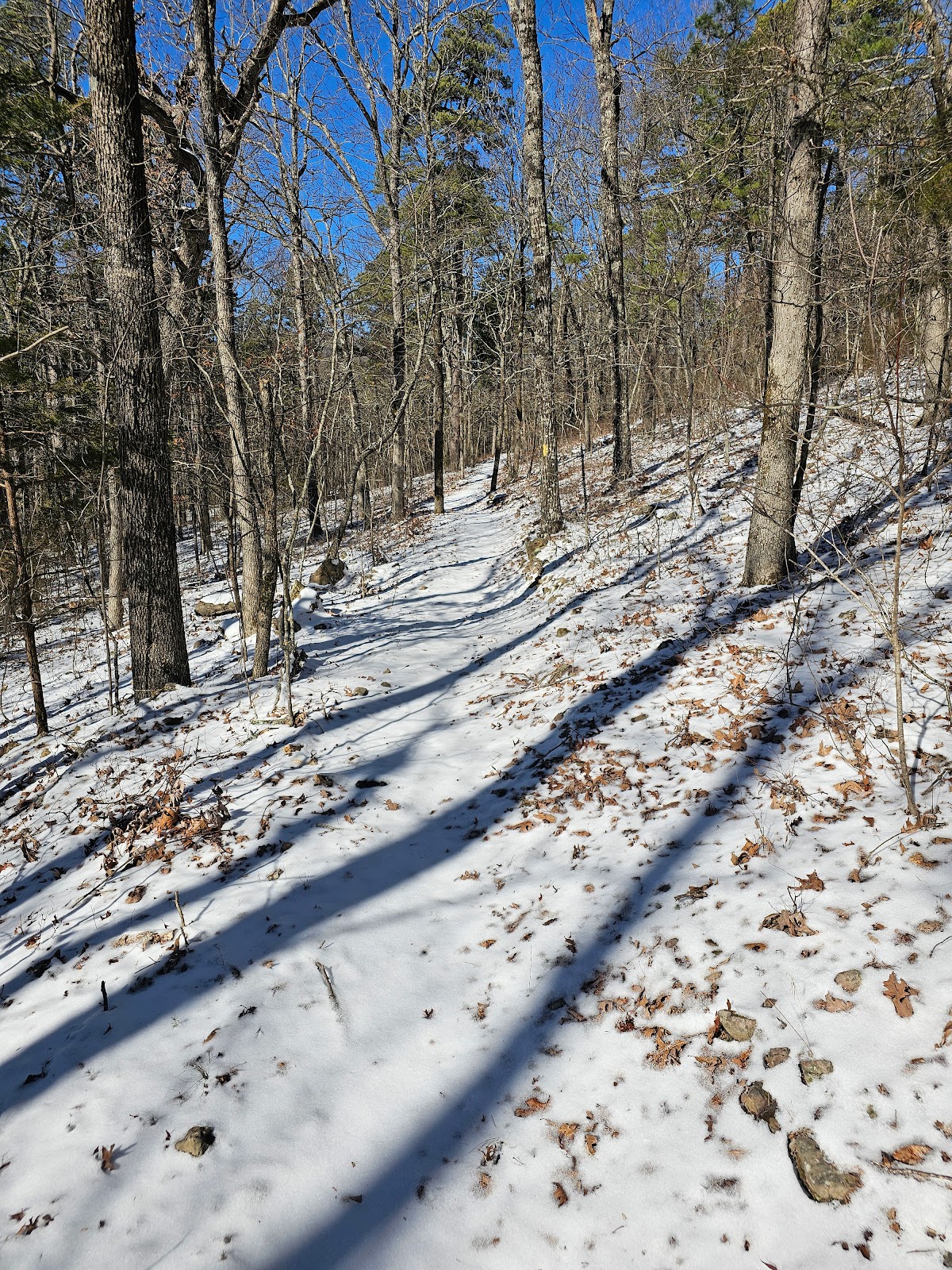 Earthquake Ridge Trail