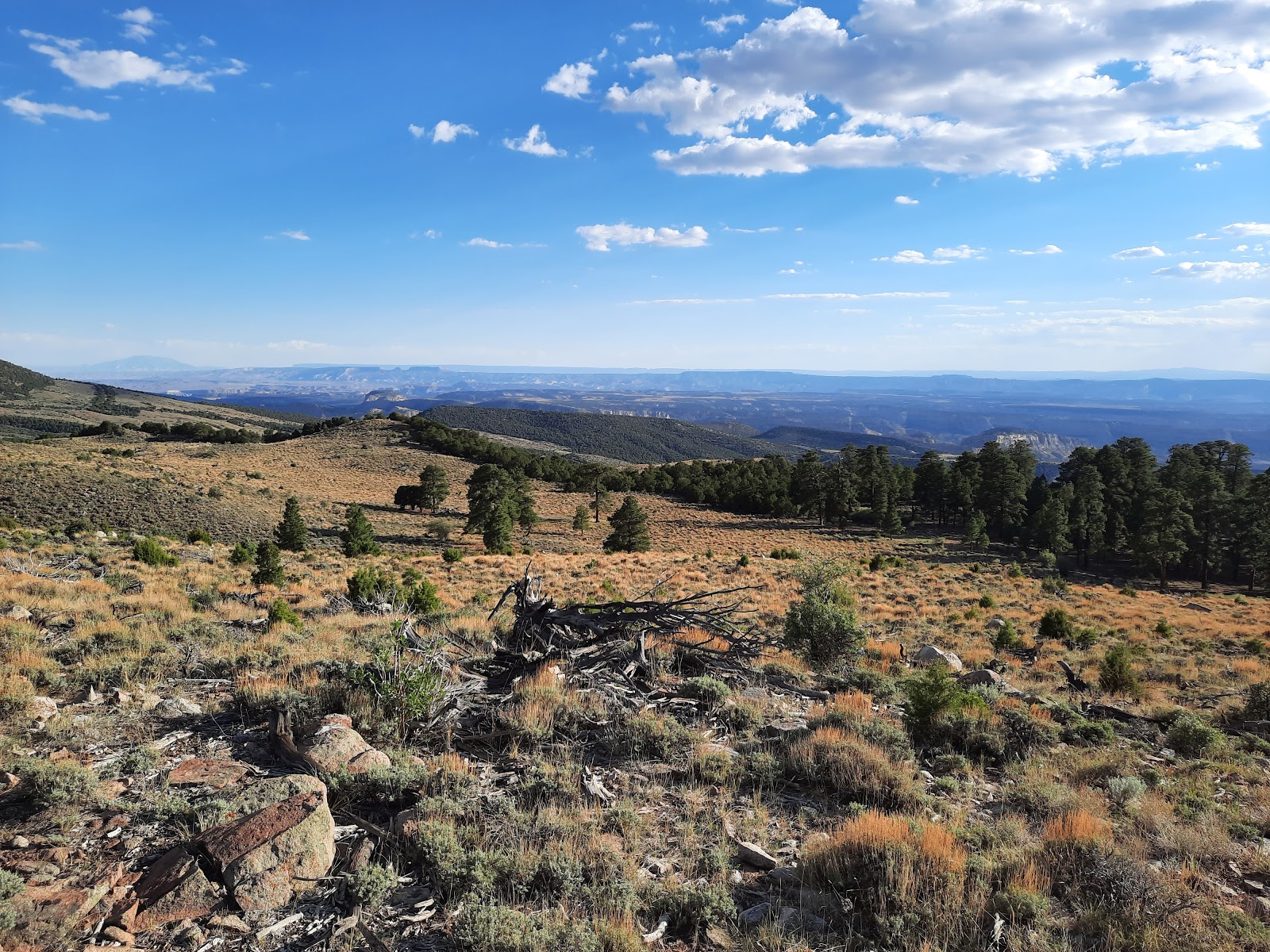 Mcmillan Spring Campground