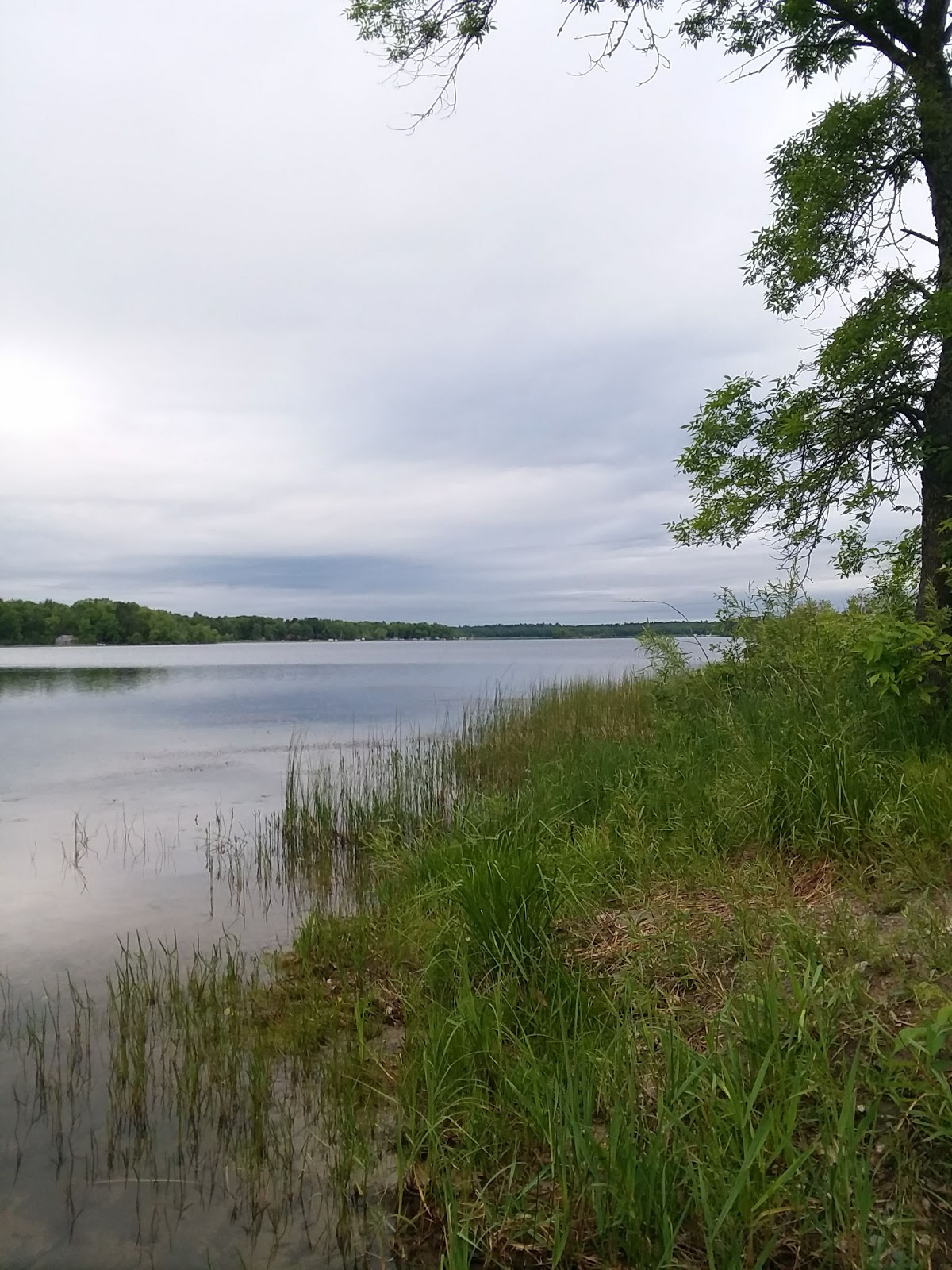 Clint Converse Campround