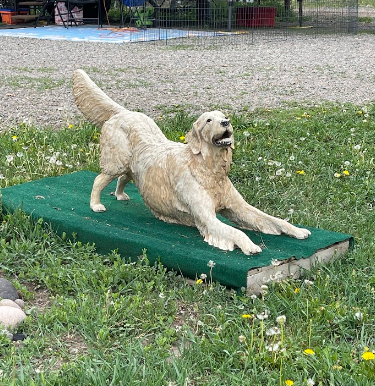 Riverside Campground and RV Park