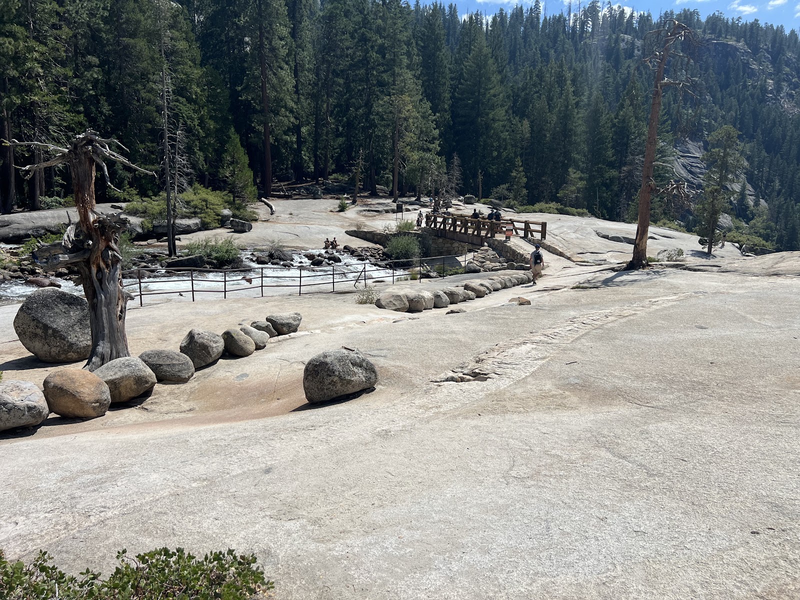 North Pines - Yosemite National Park