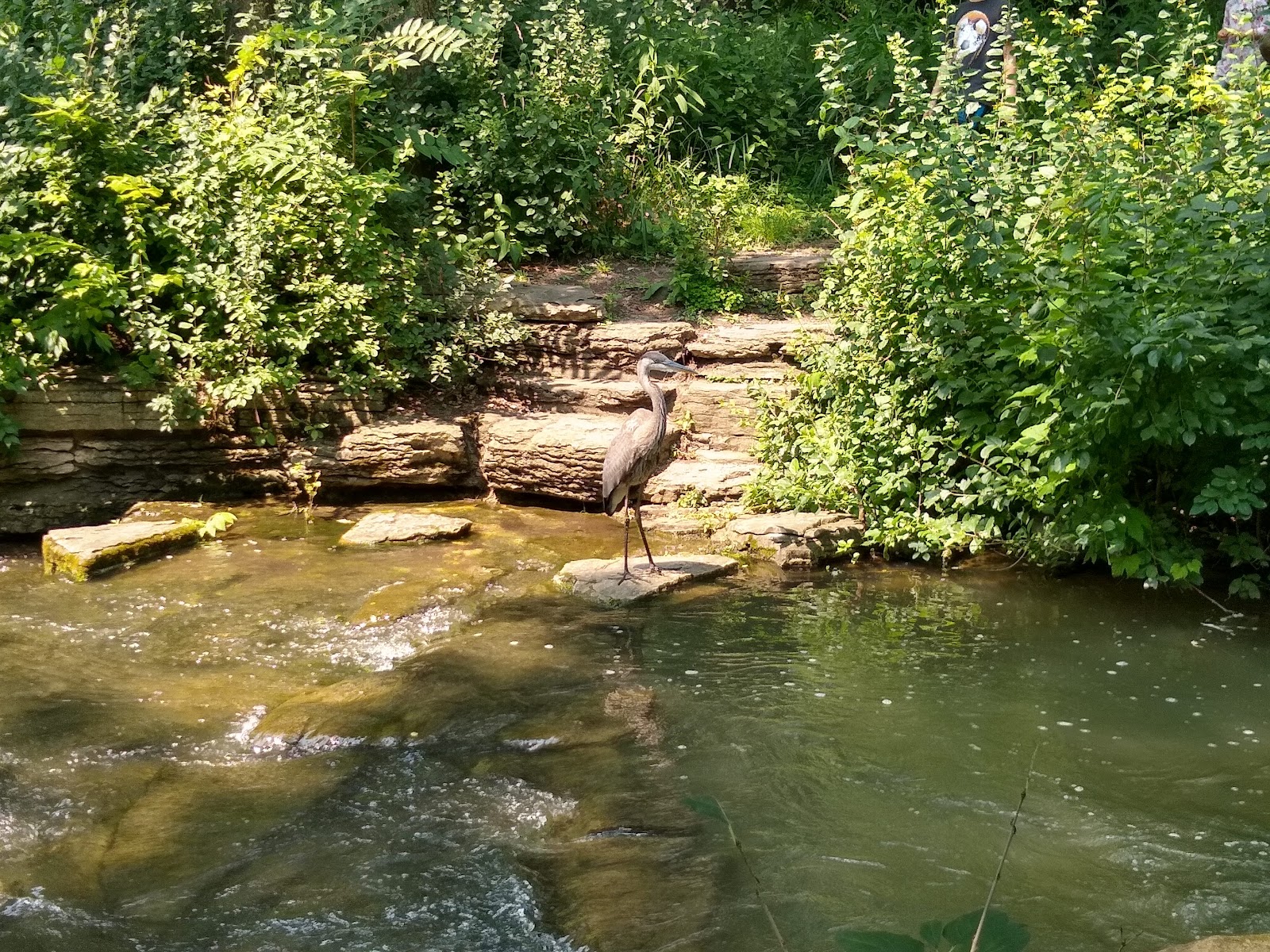 North Park Village Nature Center