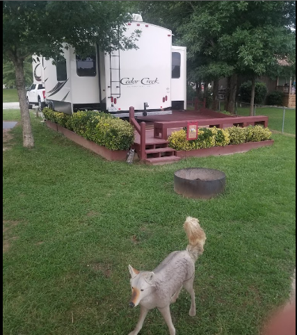 Treasure Isle RV Park